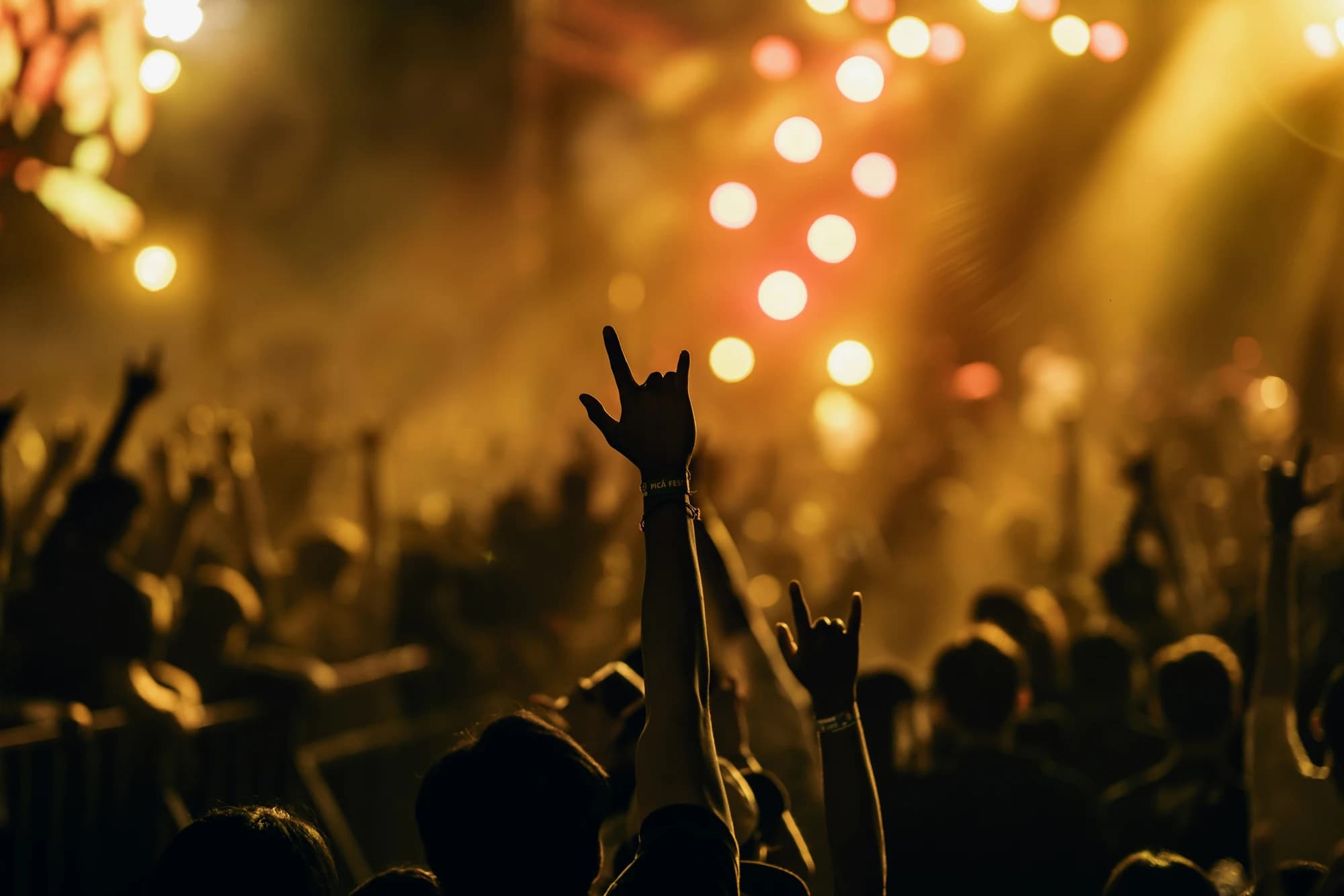 Concert Background Image